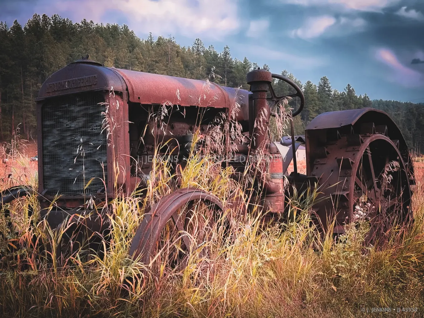 Rusting antique tractor overtaken by prairie grass