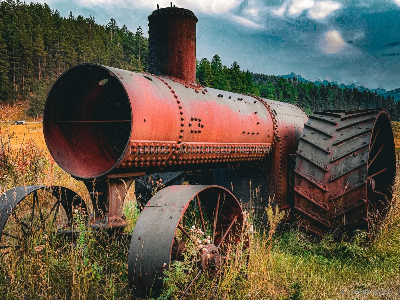 Riveted antique field machine surrounded by grass
