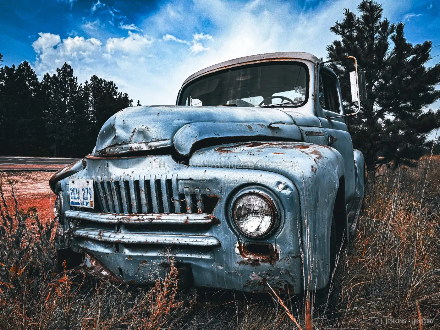 Weathered blue pickup resting in tall grass